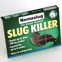 Nemaslug Slug Killer 373634 Image 0